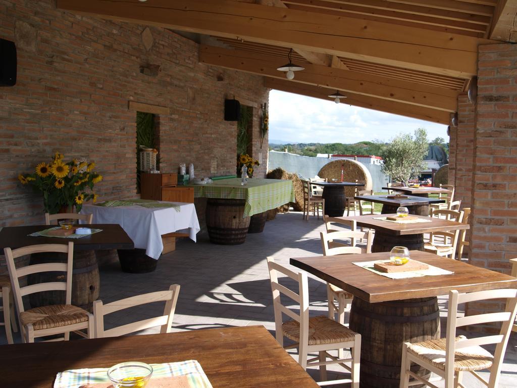 Azienda Agrituristica Il Poggetto Delle Spighe Agroturismo Collesalvetti