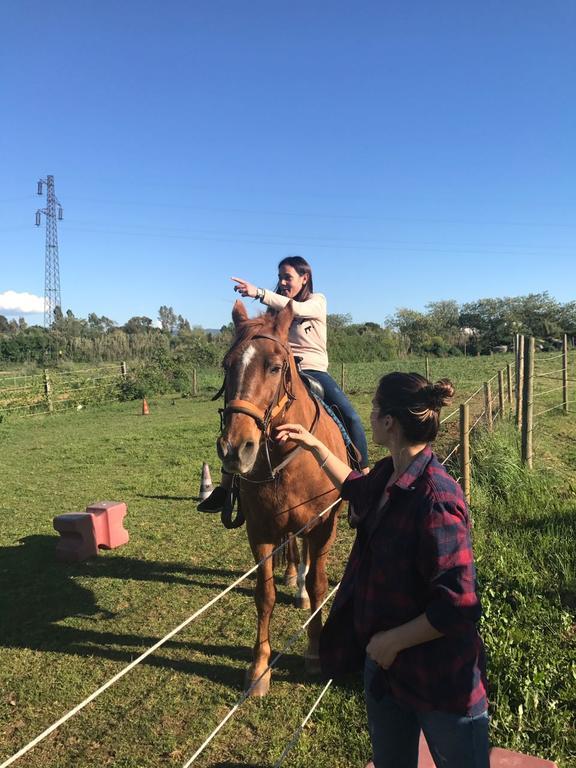 Séjour à la ferme Azienda Agrituristica Il Poggetto Delle Spighe *
