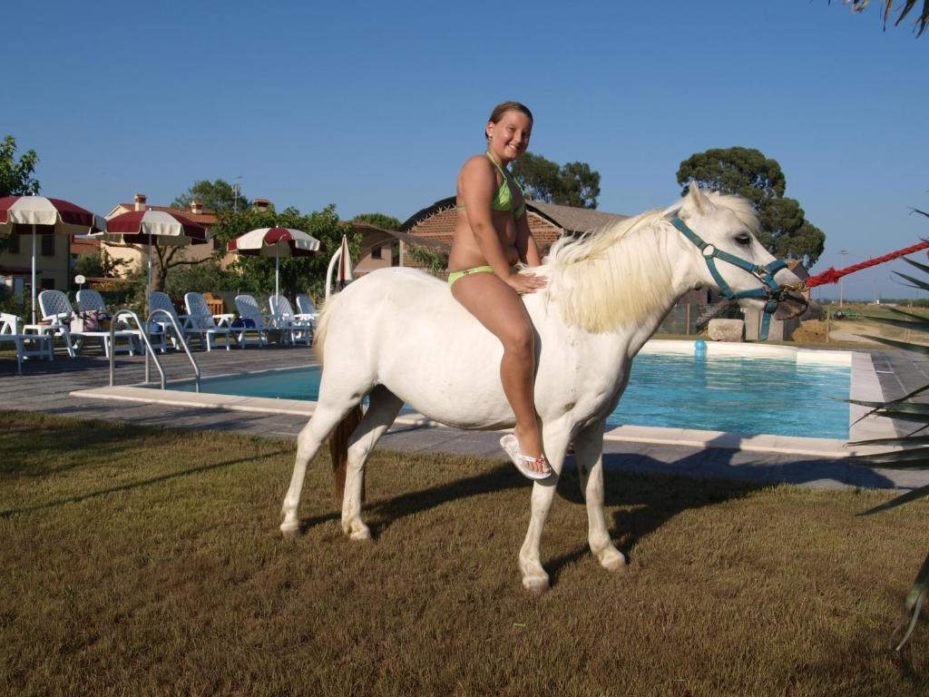 Séjour à la ferme Azienda Agrituristica Il Poggetto Delle Spighe