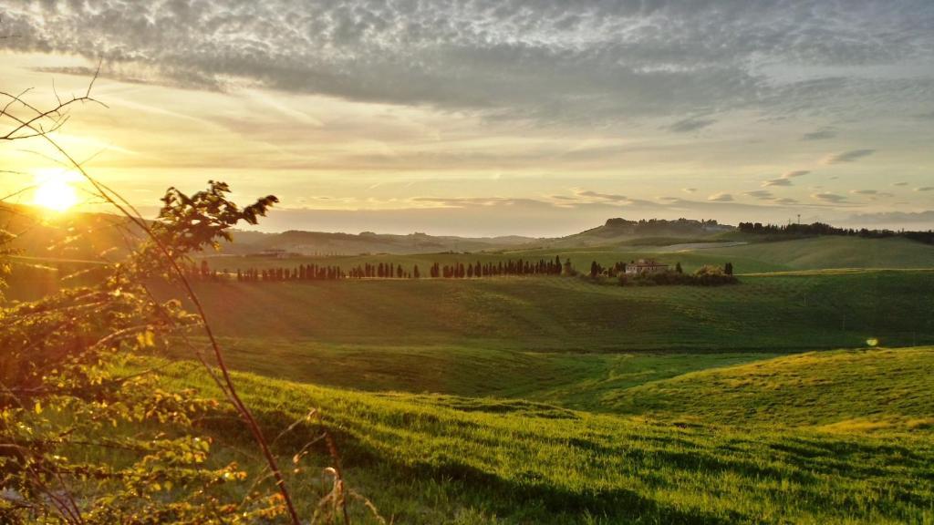 Azienda Agrituristica Il Poggetto Delle Spighe Collesalvetti